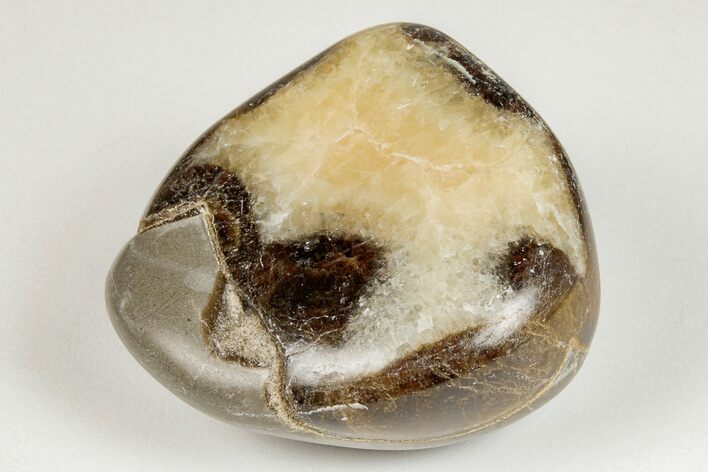 Wide, Polished Septarian Pebble - Utah #207816